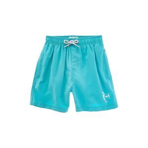 Endless Summer Boys  Volley Swim Short, Green